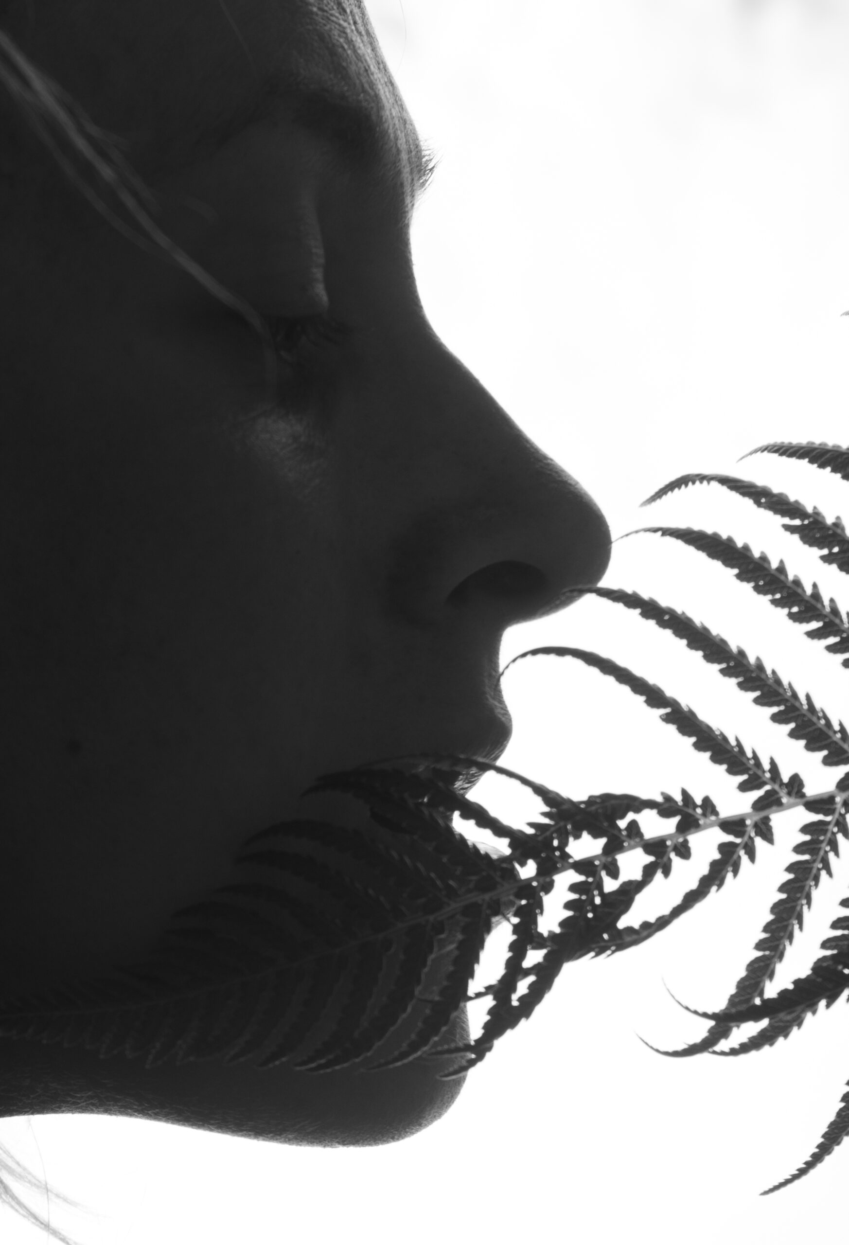 Nature photography detail